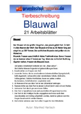 Blauwal.pdf